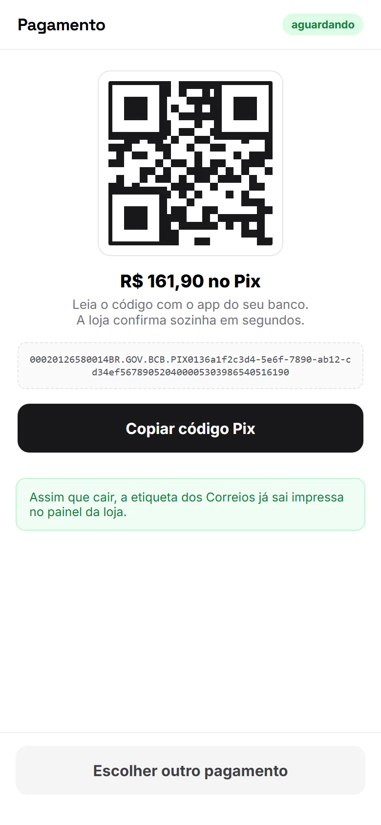 Tela de pagamento no Pix